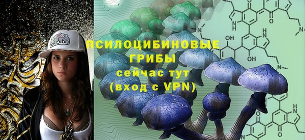 apvp Верея