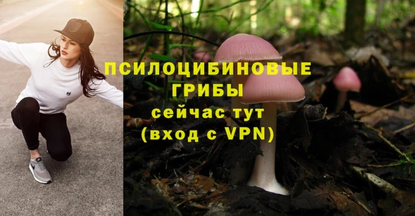 винт Верхний Тагил