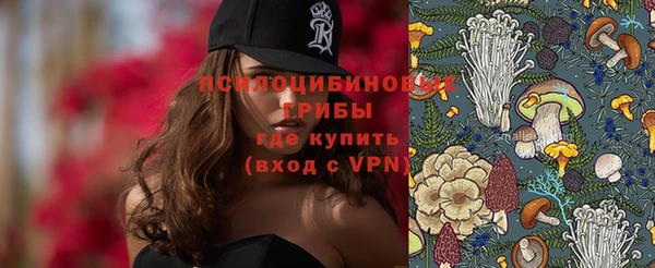 apvp Верея