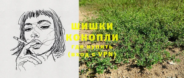 apvp Верея