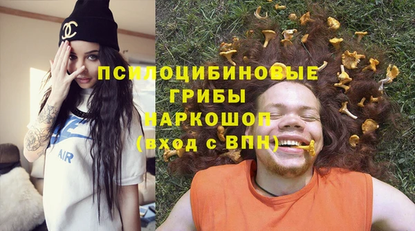 apvp Верея