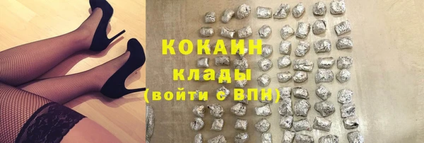 apvp Верея