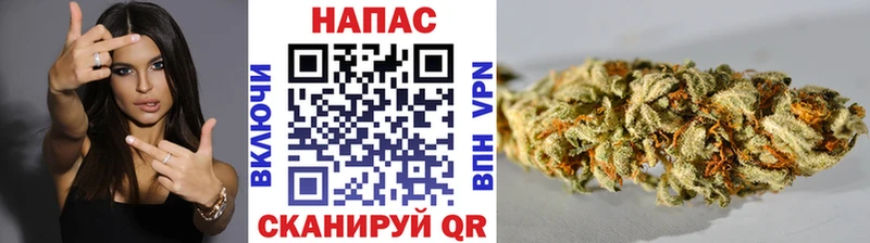 даркнет сайт  Горно-Алтайск  hydra рабочий сайт  Бошки марихуана план 